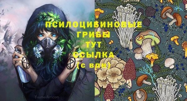 apvp Беломорск