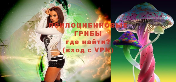 apvp Беломорск