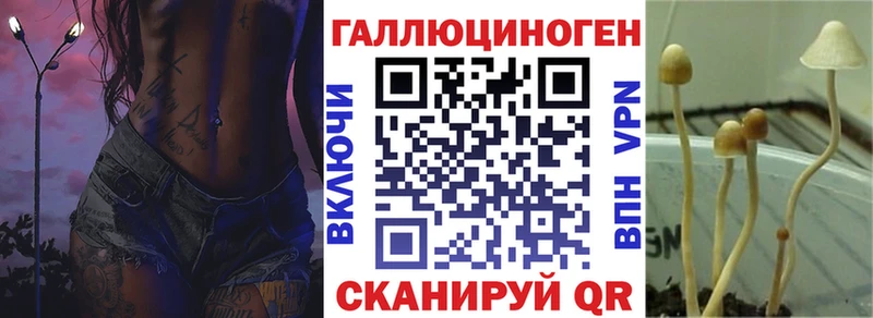 Псилоцибиновые грибы Magic Shrooms  даркнет сайт  Междуреченск 